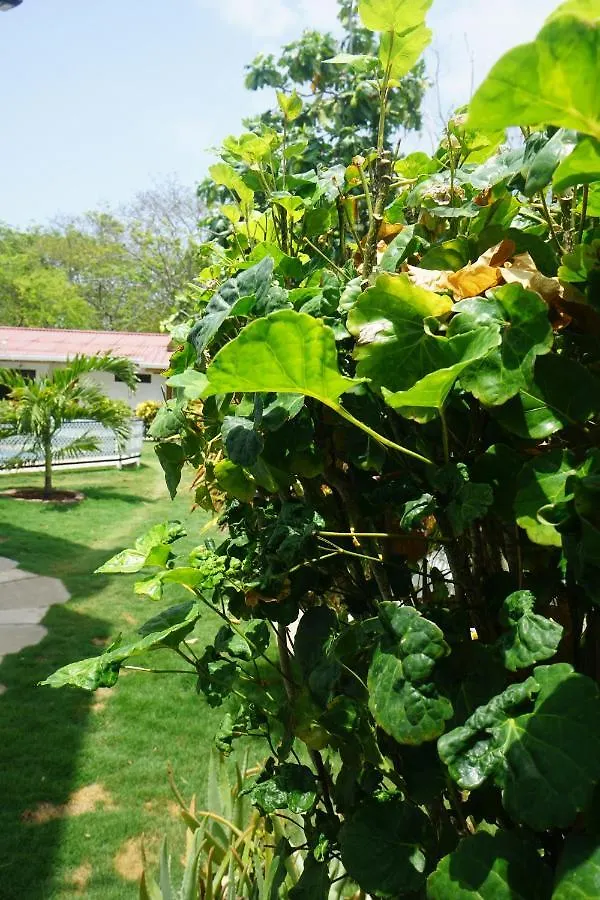 Cozy Cottage Posada Turistica San Andres
