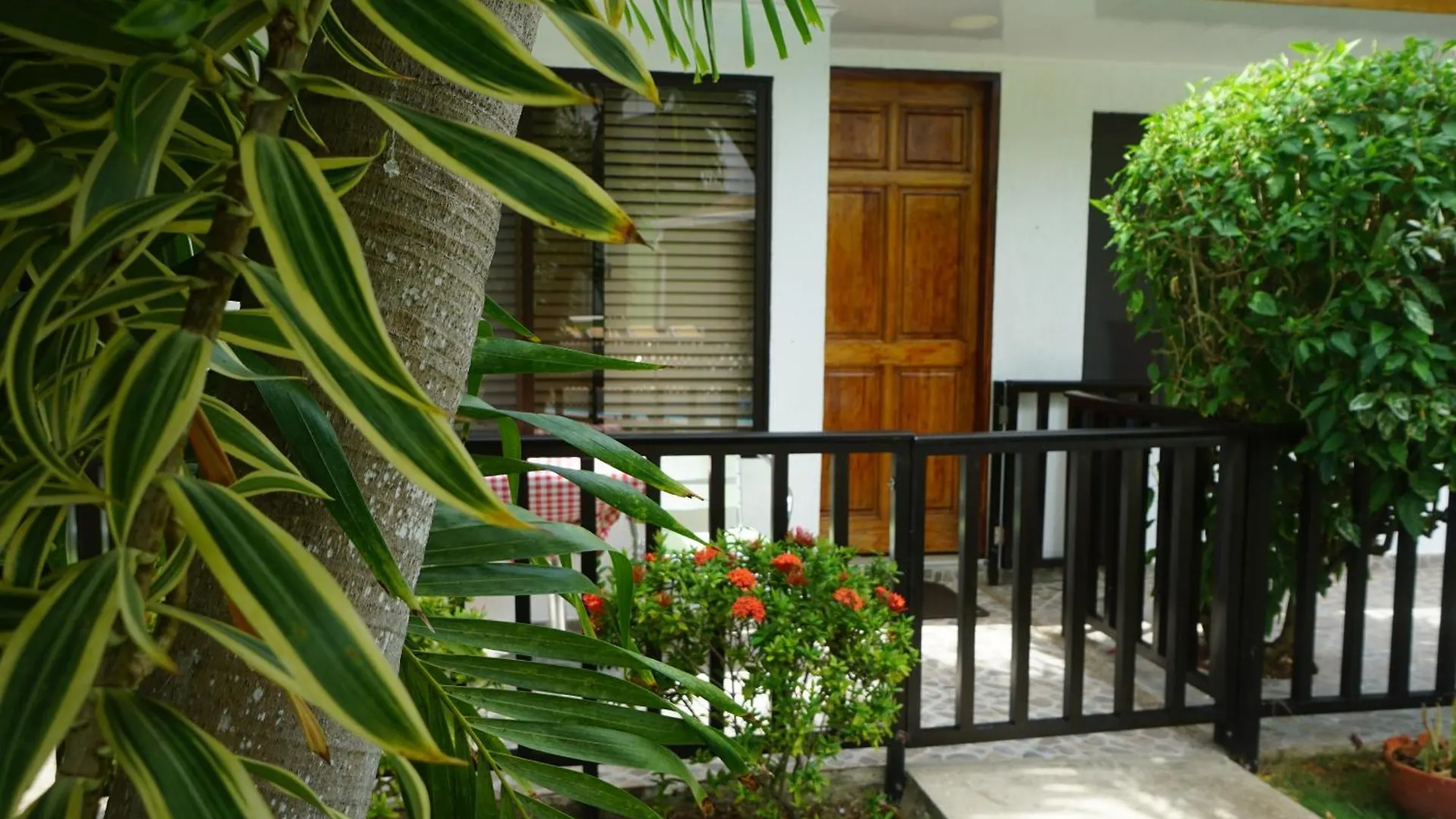 Cozy Cottage Posada Turistica San Andres  Guest house San Andres (San Andres and Providencia Islands)